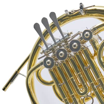 C.G. Conn 10DY Professional Geyer Wrap French Horn SN 657597 image 3
