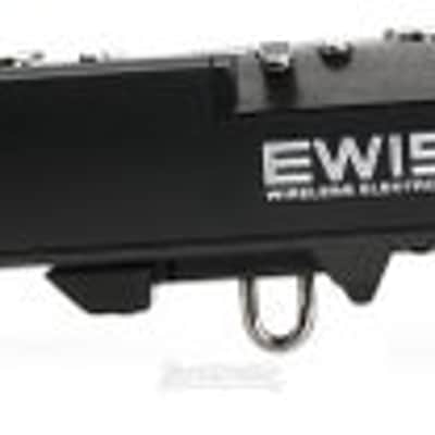 Akai Professional EWI 5000 Electronic Wind Instrument / MIDI Controller (EWI5000d2) imagen 6