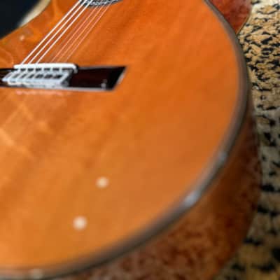 Cordoba C9 Parlor Nylon String Acoustic Guitar Natural image 24