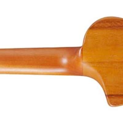 Ibanez Aup10 Nolb image 3