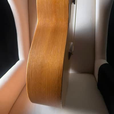 Tacoma BM6C Baritone Thunderhawk Datt Case image 9
