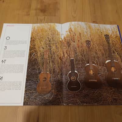 Vintage 1972 Martin Guitar Full Line, Full Color Catalog! Rare, Original Case Candy, Paperwork! image 6