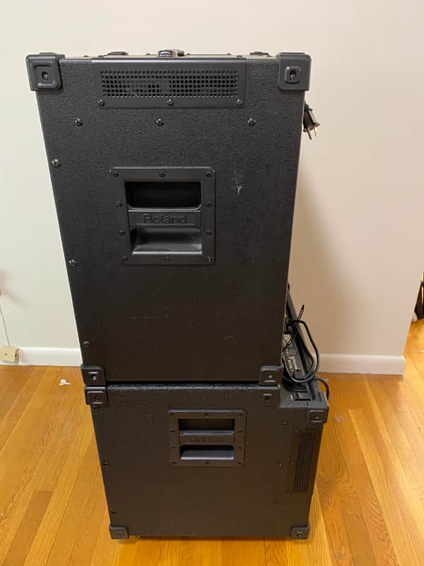 Roland D-BASS 115 + D-BASS 115X 660-Watt Bass Combo Amp Rig | Reverb