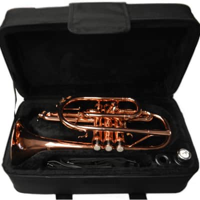Schiller Shepherds Crook Pro Cornet w/Trigger image 4