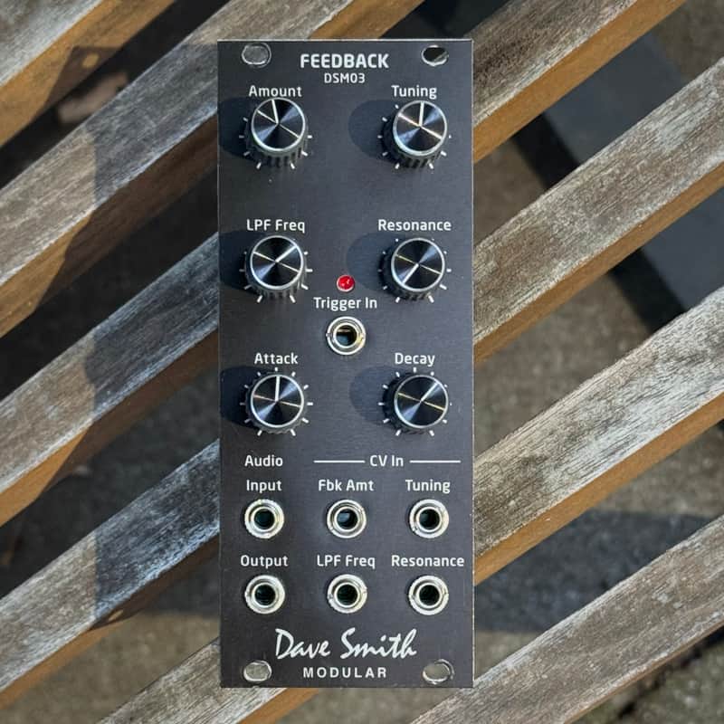 Dave Smith Instruments DSM03 Feedback Module image 1