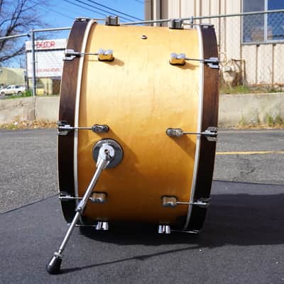 PDP Concept Maple Classic 14x26" Bass Drum - Natural Stain w/ Walnut Stain Hoops image 3
