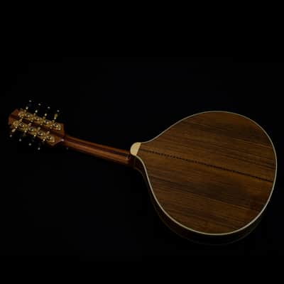 Pedro Santos 8-String Mandolin | Brazil Bild 5