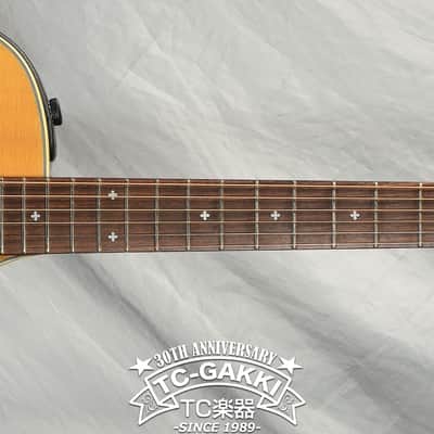 2004 LINE 6 Variax Acoustic 700 image 9