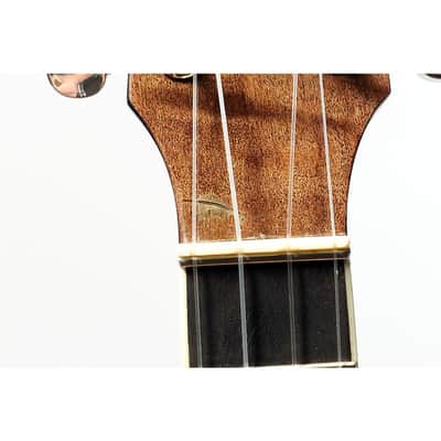 Gold Tone Banjolele Concert-Scale Banjo-Ukulele With Gig Bag Regular image 5