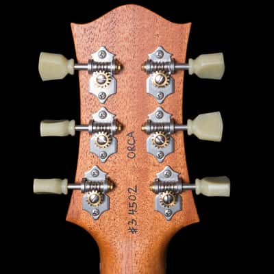 Nik Huber Orca 2024 - Goldburst image 6