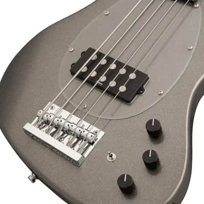 Sadowsky MetroExpress 21-Fret Vintage M Bass, Morado Fingerboard, 5-String - Solid Silver Metallic High Polish image 5