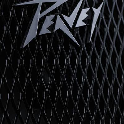 2005 Peavey MicroBass 20-Watt 1x8 Bass Practice Amp image 2