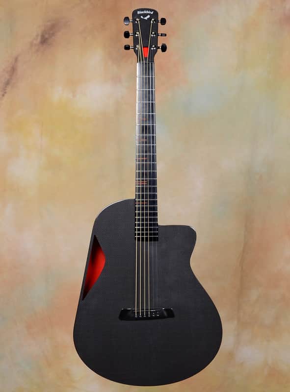 Blackbird Super OM Acoustic Guitar image 1