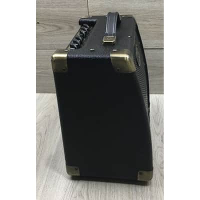 Peavey Ecoustic e20 image 8