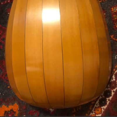 Lars Torressen Colascione Bass Lute 2020 image 5