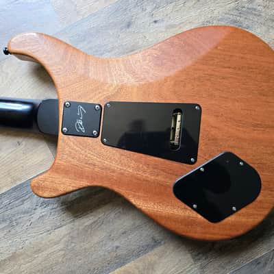PRS Dustie Waring CE-24 image 14