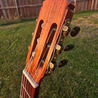 Daniel Garcia Classic Guitar All Solid Palo Escrito with Cedar Top 2025 - Laquer image 11