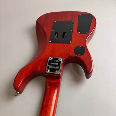 Washburn N2 image 10
