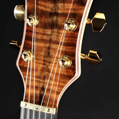 Alembic Darling - Fancy Walnut/Demo image 6
