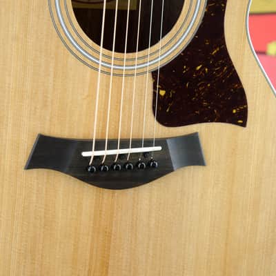Taylor 212ce 6 String  Acoustic- Electric Guitar with cutaway, pickup & carry bag image 5