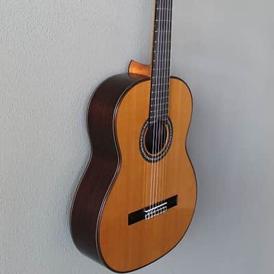 Brand New Cordoba C10 Cedar Top Classical Guitar image 3