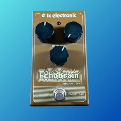 TC Electronic Echobrain Analog Delay Pedal image 1