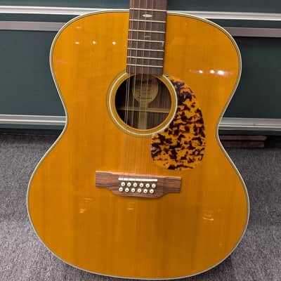 Historic Series Blueridge BR-160-12 (12 String Acoustic Guitar, Made in 2012) with HSC image 1