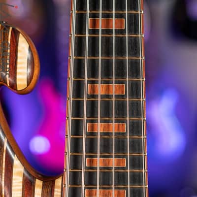 Shawn May Custom Rainbow 6-String Short Scale Bass image 8