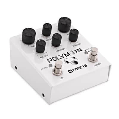 MERIS POLYMOON DELAY image 2
