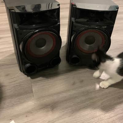 LG Mini Hi-FI System Model No. CM4530 image 4