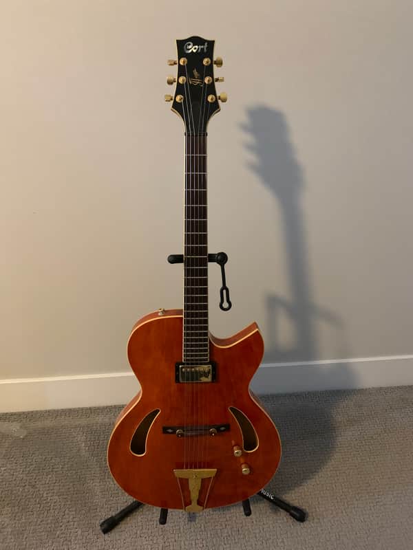 Cort Triggs TRG-1 Hollowbody image 1