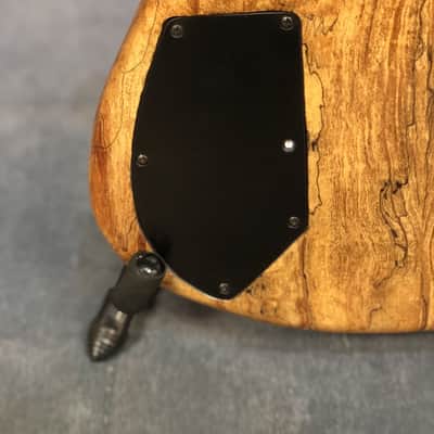Roscoe SKB 3005 5 String Bass image 7