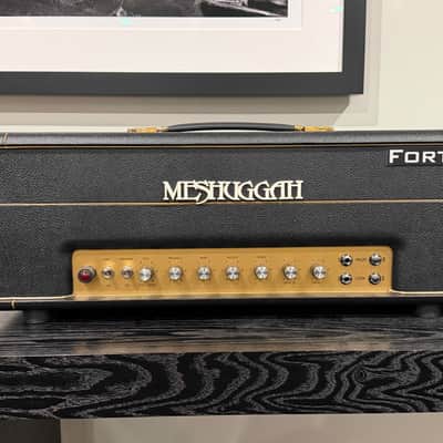Rare - Fortin Amplification Meshuggah 50 Watt Amplifier 2018 #72 image 1