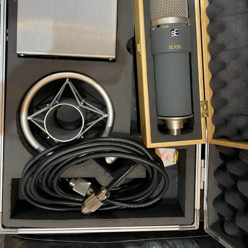 2010 sE Electronics ISIS II Greenish