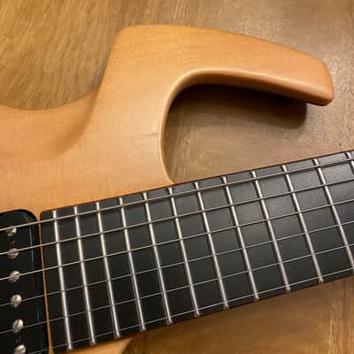 Parker Fly Artist, Custom (Odin) image 4