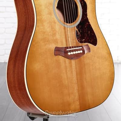 Taylor Trey Hensley Gold Label 510e SE Acoustic-electric Guitar - Antique Blond (510eTHGLd1) image 6