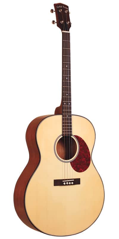 Gold Tone TG-10 Tenor Guitar with Gigbag - Natural image 1