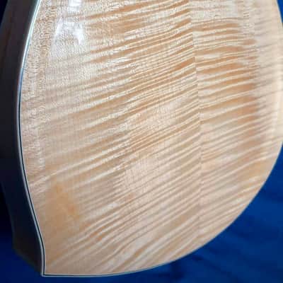 Eastman DGM1  Mandolin image 11