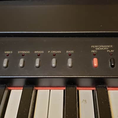 Yamaha YPP-50 76-Key Touch Sensitive Semi-Weighted Keys image 4