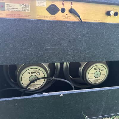 Marshall Jcm800 4212 1987 - Black gold image 3