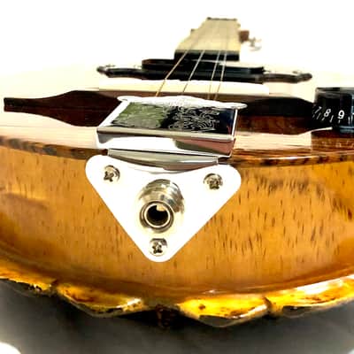 Turtle Shell acoustic/electric dulcimer guitar image 8