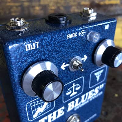 Immagine Mint Caroline Guitar Company The Blues Expensive Amplifier - 3