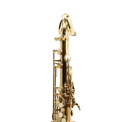 Antigua Winds Model TS4248LQ 'Powerbell' Tenor Saxophone in Lacquer SN MST10000 image 7