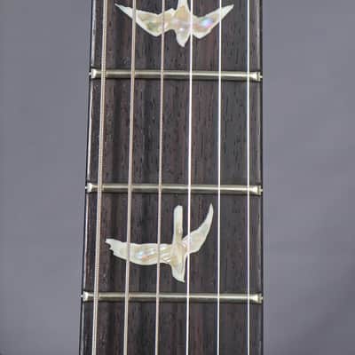 PRS DGT David Grissom with killer 10 top image 4