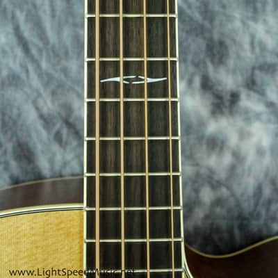 Alvarez AB60CE Acoustic-Electric Bass w/ LR Baggs Preamp & Solid Spruce Top image 3