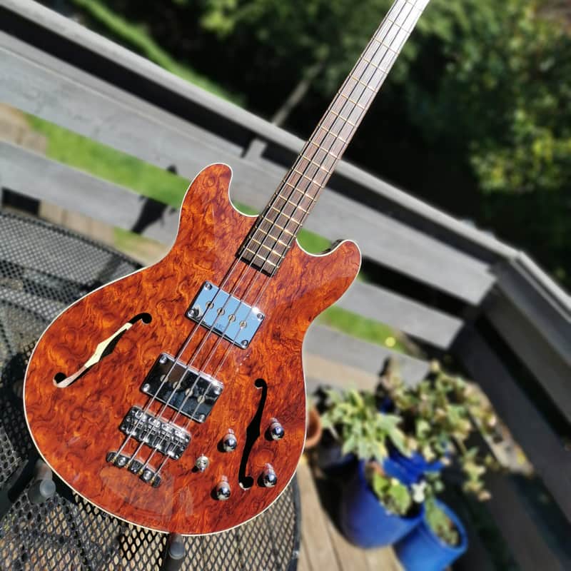 2020 Warwick Star Bass Bubinga High Gloss