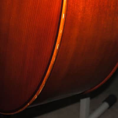 Eastman VB200 7/8 Scale Upright Double Bass image 6