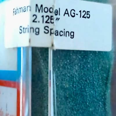 Fishman Fishman AGP-2 + AG-125 Complete Kit 2005 image 3
