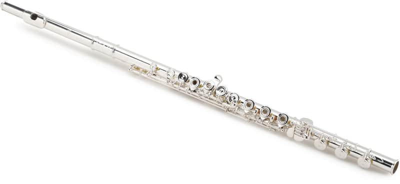 Di Zhao Flutes DZ 801 Intermediate Flute with Split E Mechanism image 1