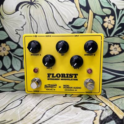 Benson Amps + Non-Human Audio Florist Yellow - Used image 2